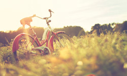 Bike in field landscape photography