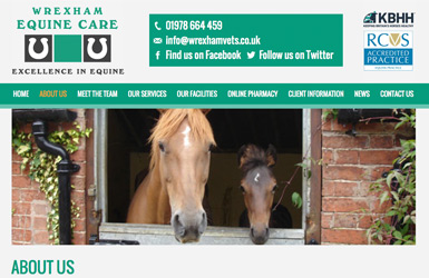 Wrexham Equine Care website design
